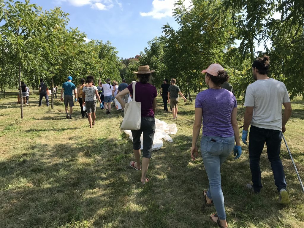 Au jardin des noix : un goût pour l’innovation